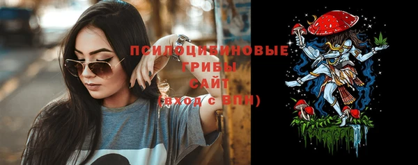 сатива Киреевск