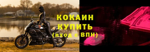 сатива Киреевск