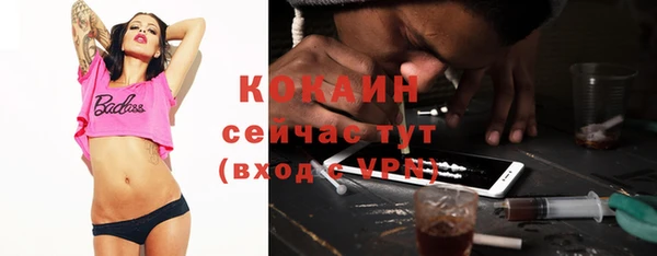 сатива Киреевск
