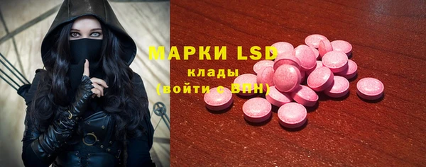 PSILOCYBIN Кодинск